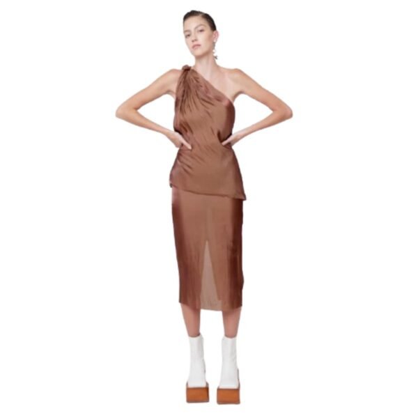 Women's Taupe Sheer Midi Skirt | Elegant High-Waist Occasion Skirt